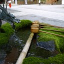 水　苔むす。