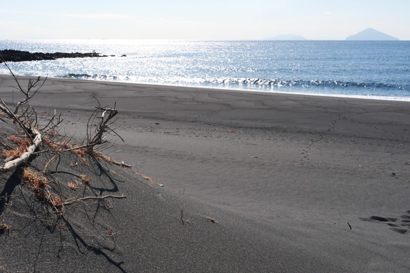 砂の浜